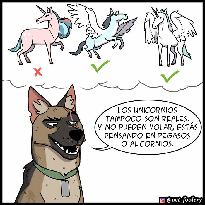 8 Nuevos cómics tan adorables como divertidos de Pixie y Brutus para alegrarte el día