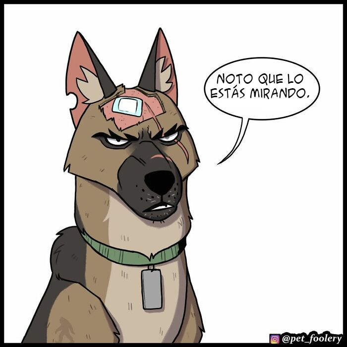 8 Nuevos cómics tan adorables como divertidos de Pixie y Brutus para alegrarte el día
