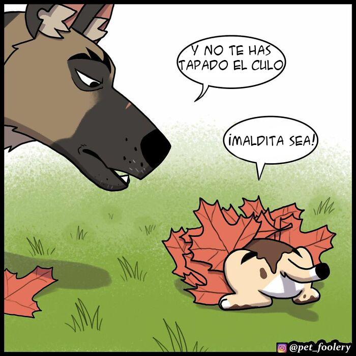 8 Nuevos cómics tan adorables como divertidos de Pixie y Brutus para alegrarte el día