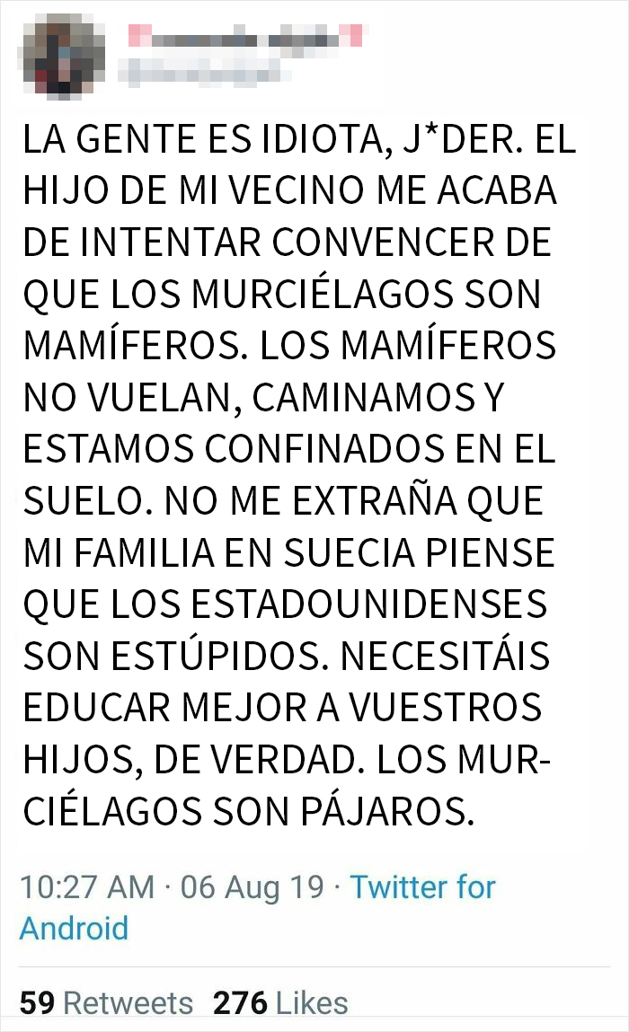 Los Murciélagos Son Aves