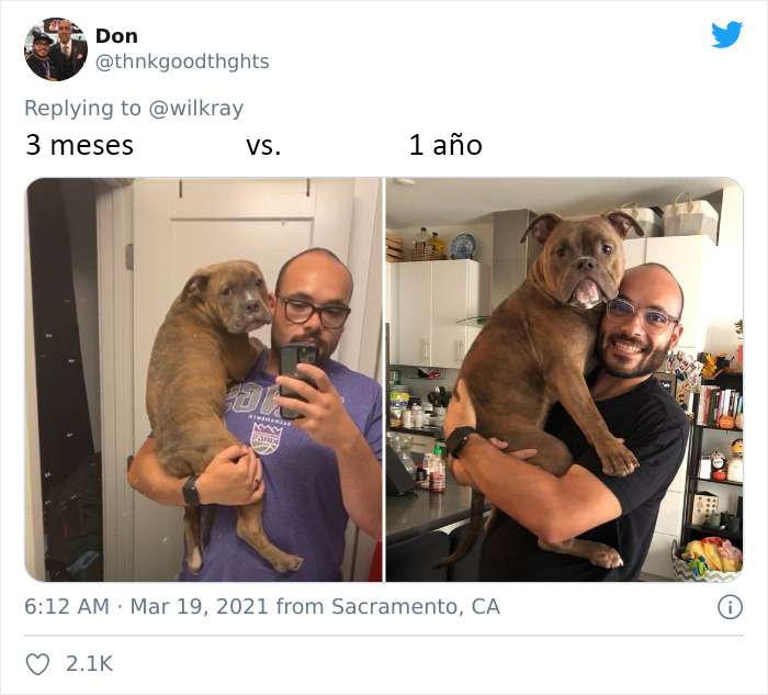 People Are Sharing Sweet 'Then Vs. Now' Photos Of Their Dogs Growing Up Quickly (35 Pics)