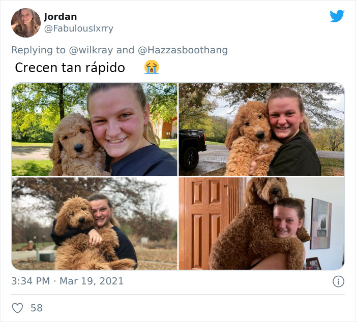 People Are Sharing Sweet 'Then Vs. Now' Photos Of Their Dogs Growing Up Quickly (35 Pics)