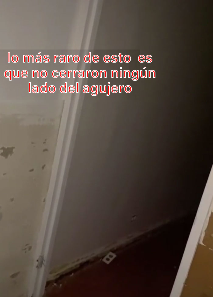 Esta mujer descubrió un agujero tras el espejo del baño, decidió entrar y encontró un apartamento entero