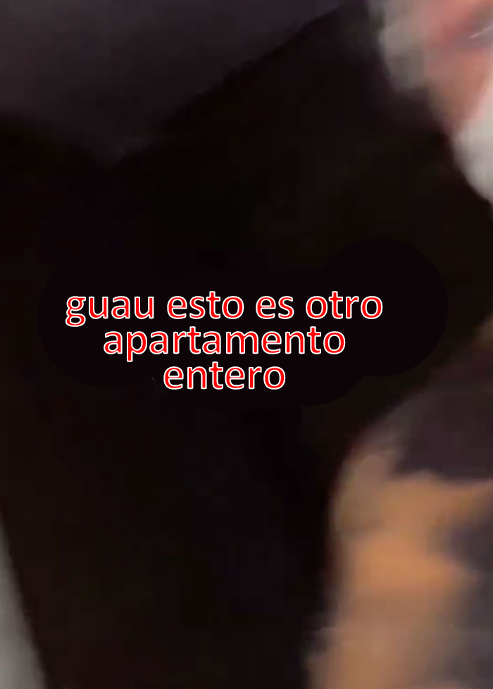 Esta mujer descubrió un agujero tras el espejo del baño, decidió entrar y encontró un apartamento entero