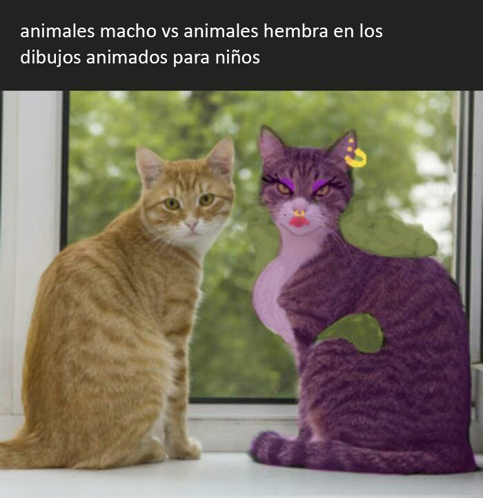 Found This Gem On Tumblr