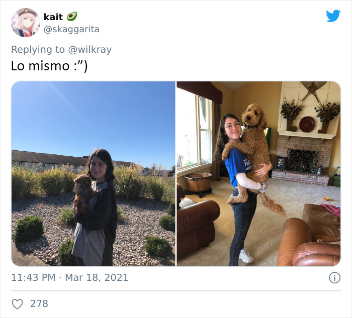 People Are Sharing Sweet 'Then Vs. Now' Photos Of Their Dogs Growing Up Quickly (35 Pics)