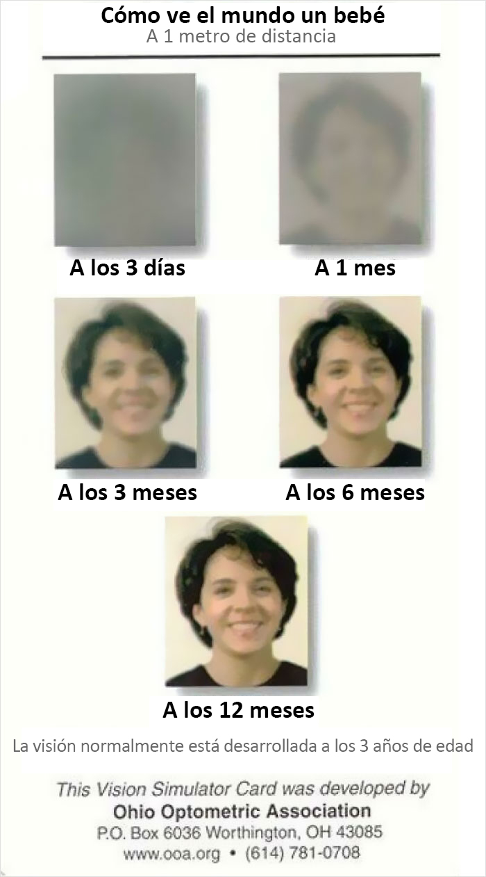 Una idea genial de cómo ven el mundo los bebés recién nacidos