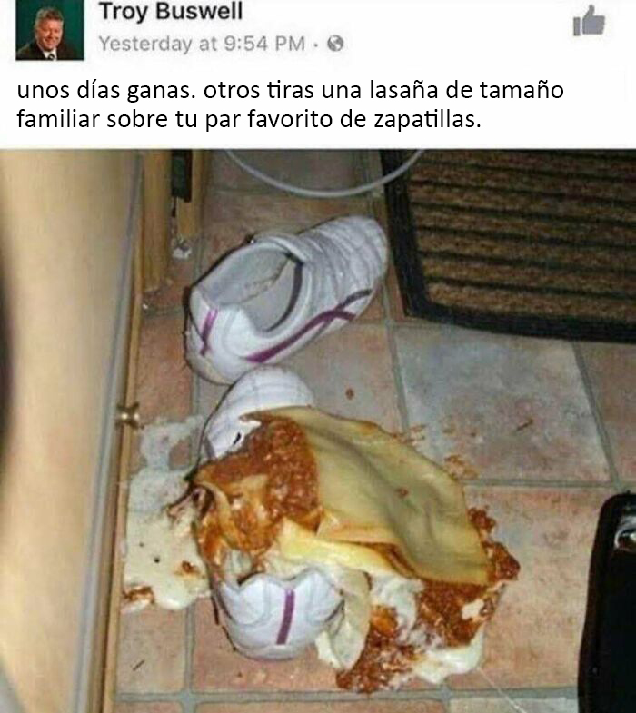 Lasaña