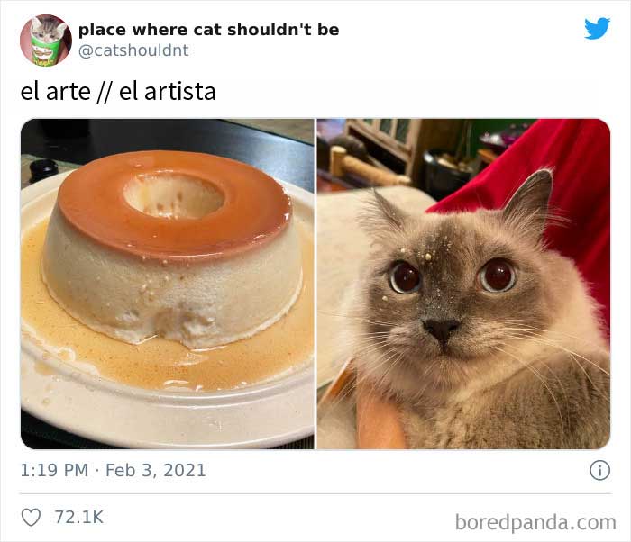 Un verdadero artista