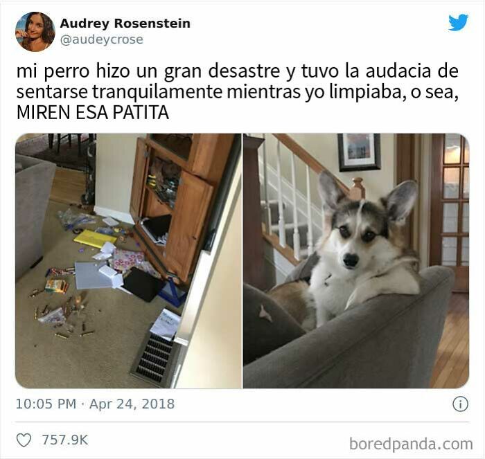 Una posición sin arrepentimiento