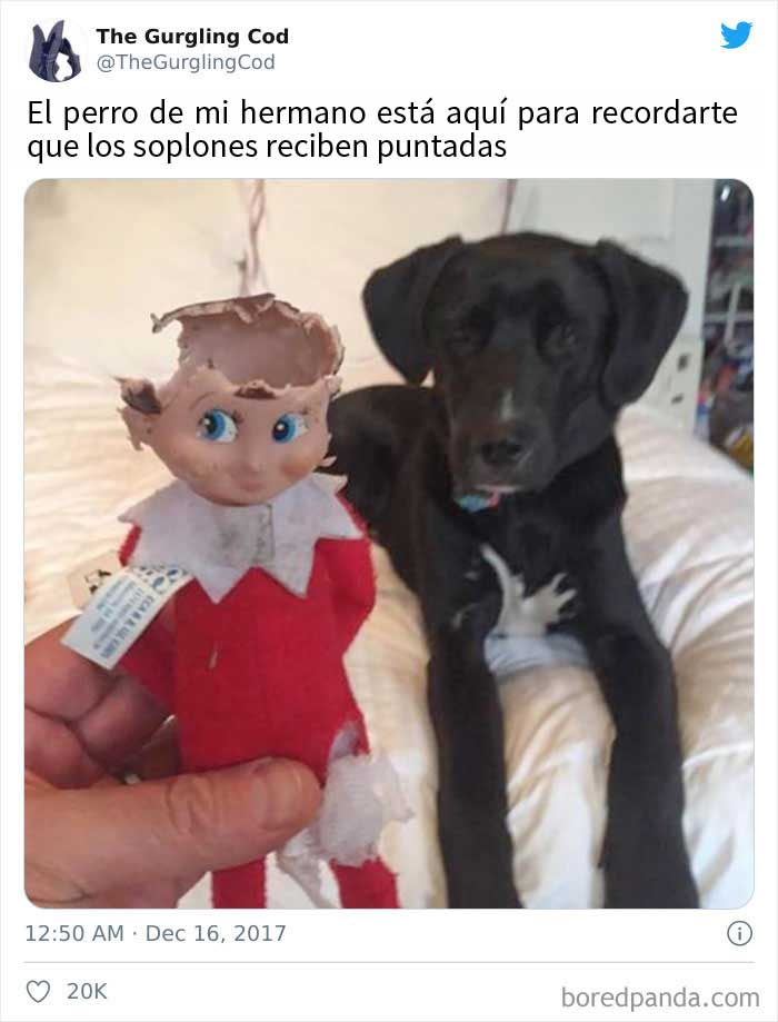 Este tipo contra un elfo
