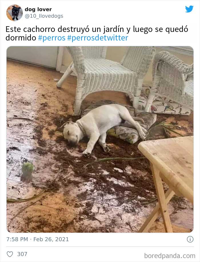 Eso le llevó demasiado esfuerzo