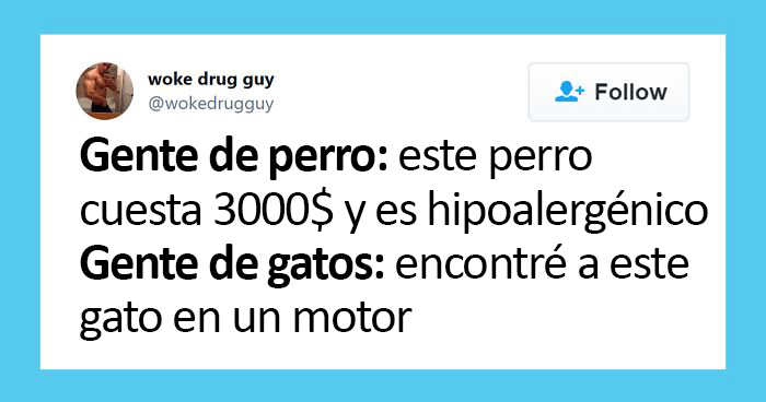 25 De los mejores tuits de «amantes de los perros vs amantes de los gatos»