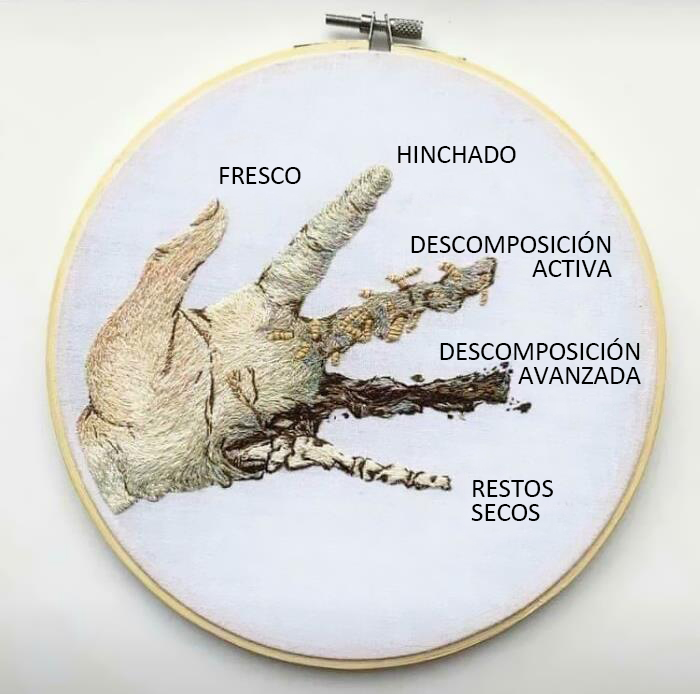 Descomposición de la carne humana