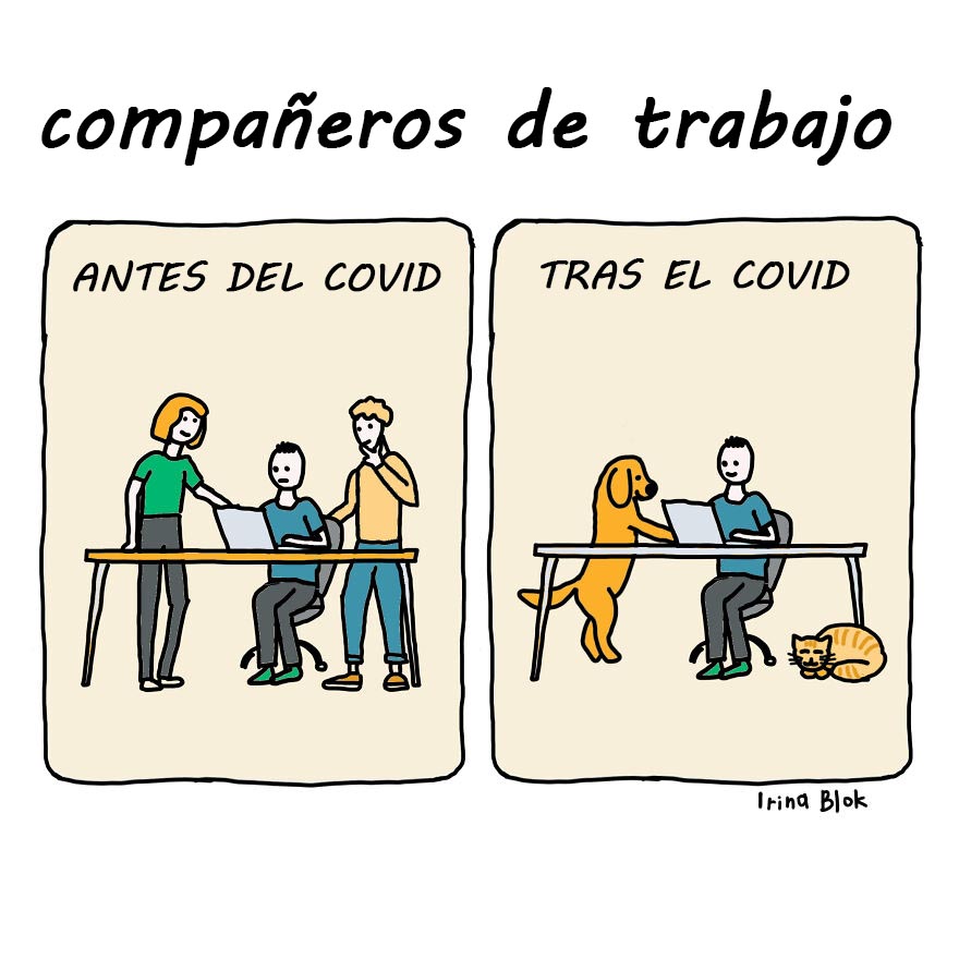 Compañeros De Trabajo