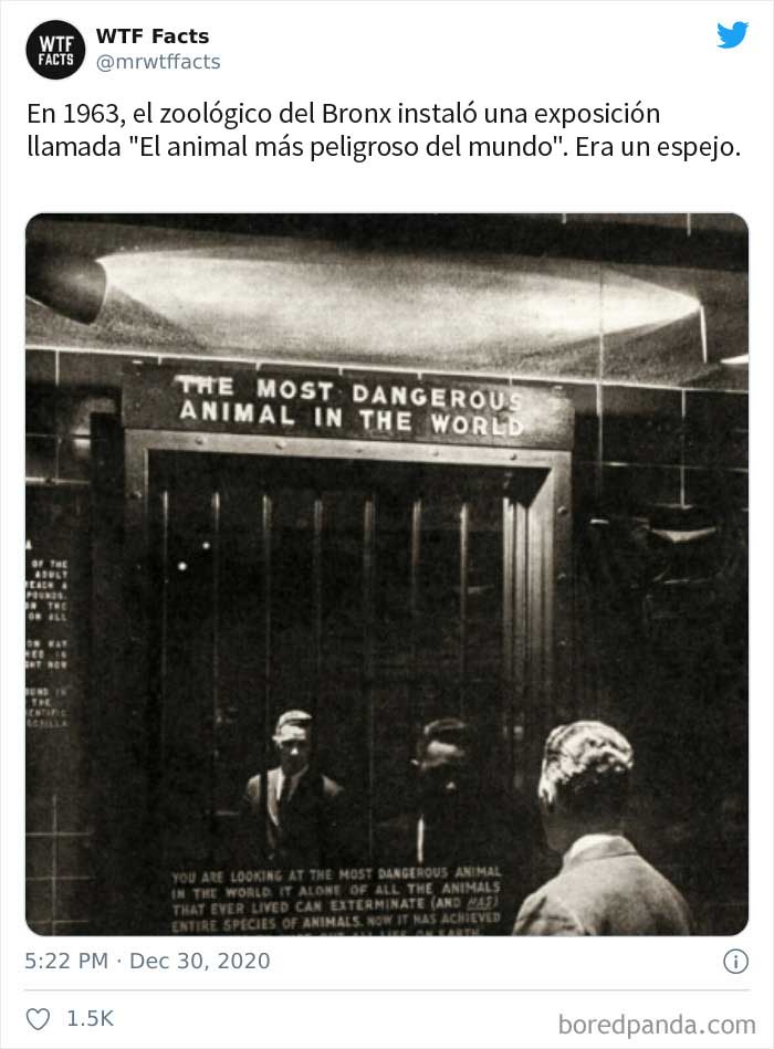 50 Random Facts That Sound Fake But Aren't, Shared By This Twitter Account