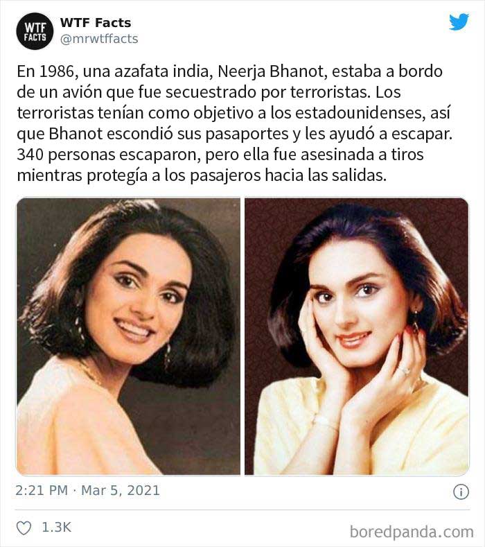 50 Random Facts That Sound Fake But Aren't, Shared By This Twitter Account