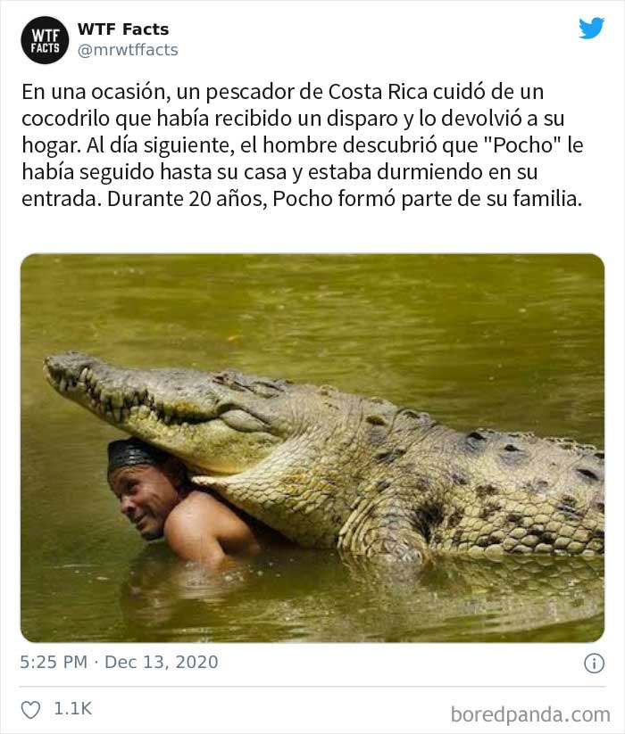 50 Random Facts That Sound Fake But Aren't, Shared By This Twitter Account