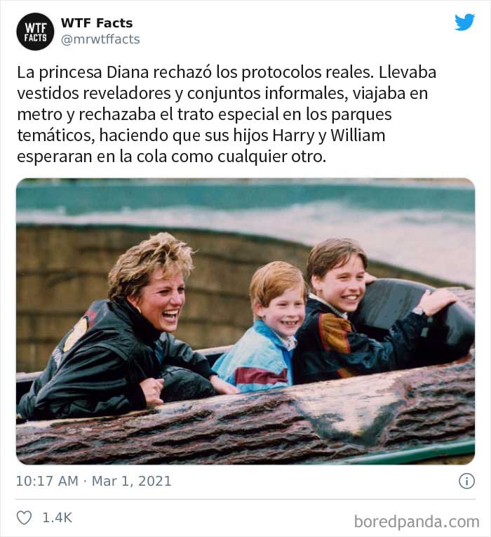 50 Random Facts That Sound Fake But Aren't, Shared By This Twitter Account
