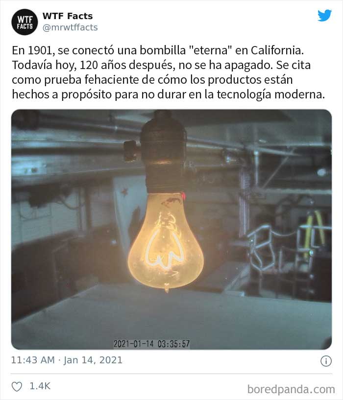 50 Random Facts That Sound Fake But Aren't, Shared By This Twitter Account