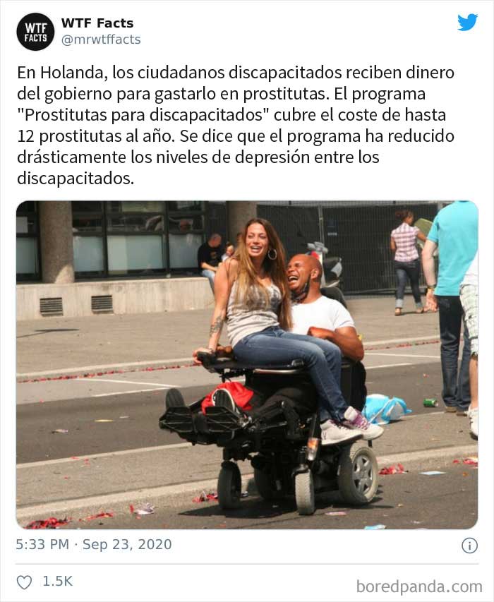 50 Random Facts That Sound Fake But Aren't, Shared By This Twitter Account