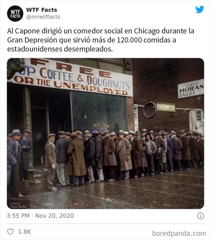 50 Random Facts That Sound Fake But Aren't, Shared By This Twitter Account