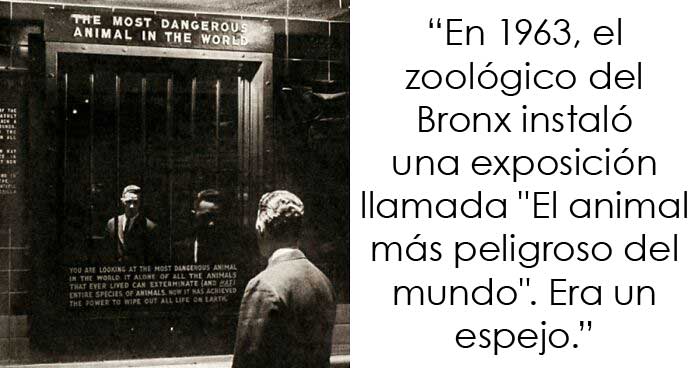 35 Datos sorprendentes que parecen falsos pero no lo son, compartidos por esta cuenta de Twitter