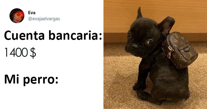 15 Tuits sarcásticos y divertidos que muestran cómo se van a gastar los estadounidenses el dinero de los cheques de estímulo