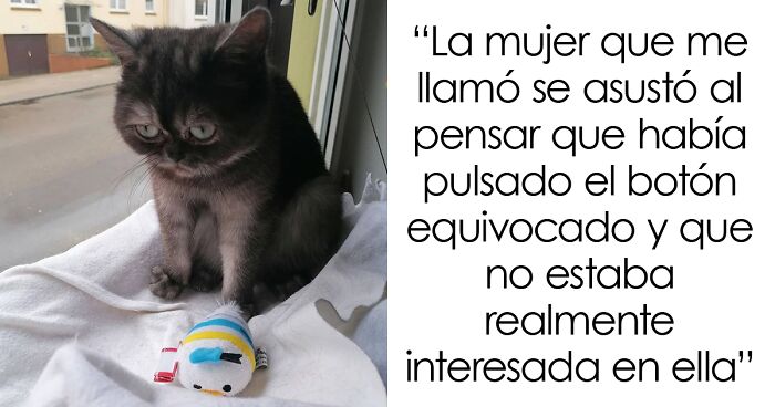 Esta mujer adoptó a una gata que fue ignorada en el refugio por su aspecto «feo»