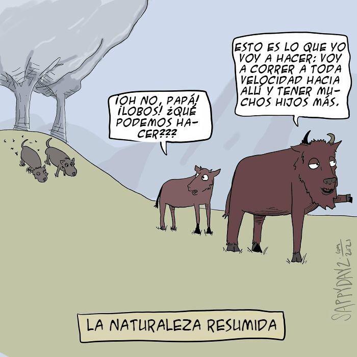 Lo Que He Aprendido Del Discovery Channel