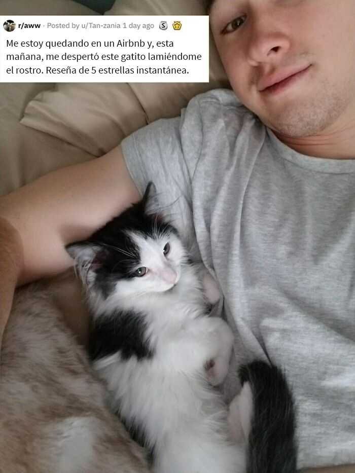 Potenciador de reseñas