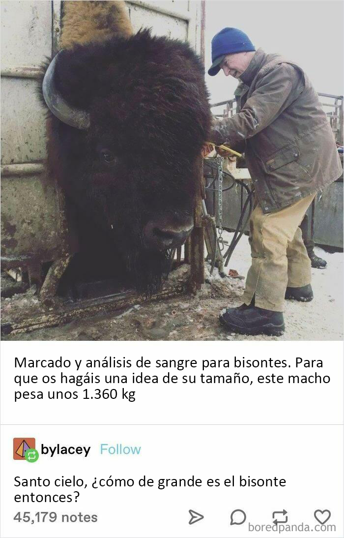 Gran chico