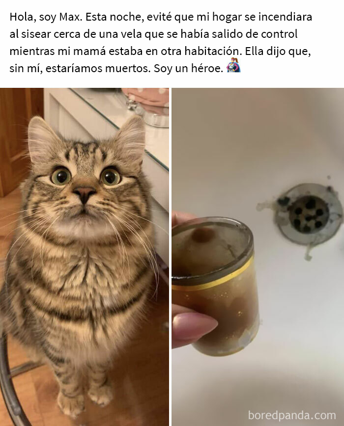 Max, oficial de prevención de incendios