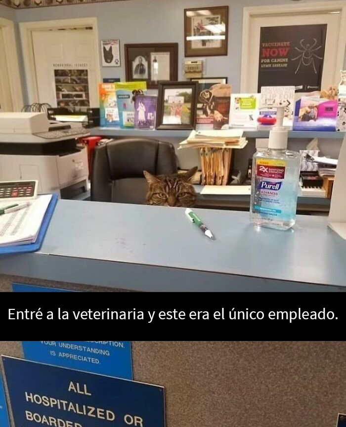 De todos modos, este es el único empleado que necesitaría