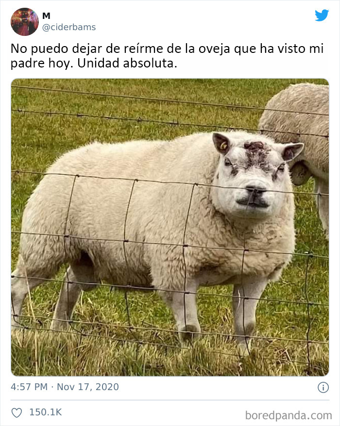 Bee Bee ¡Hijos de Put*!
