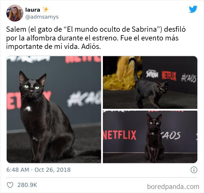 ¡Actor profesional! ¿Gactor? ¿No?