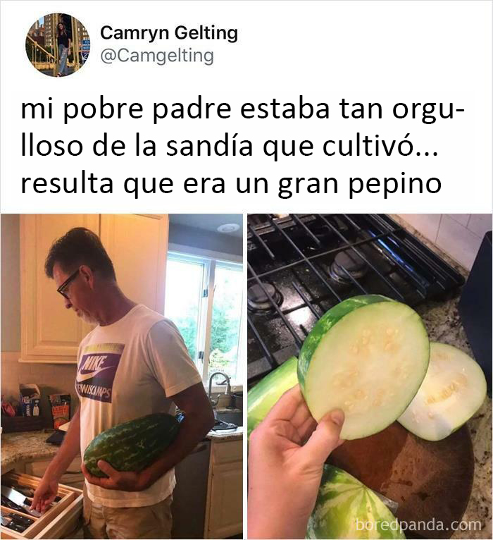 Este pepino confundido con una sandía