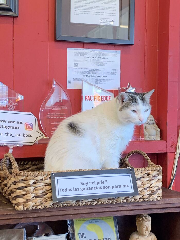 Empleado de librería en Kaui’i