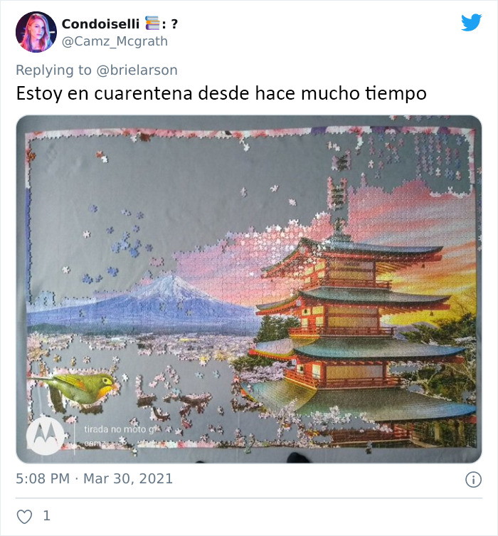 40 Twitter Users Share Pics Screaming ‘I’ve Been In Quarantine For Way Too Long’