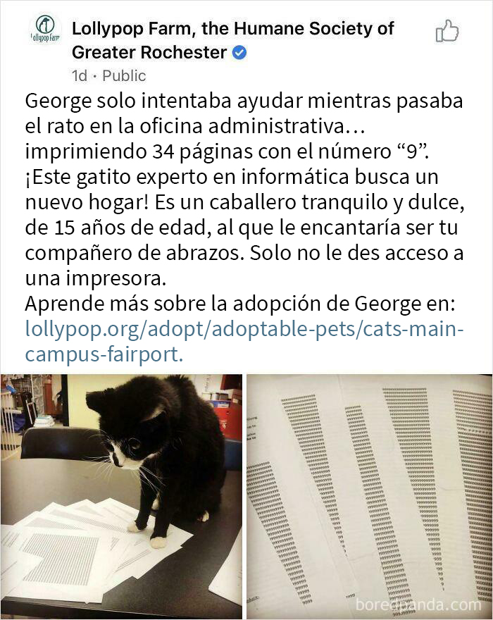 George es un gran oficinista