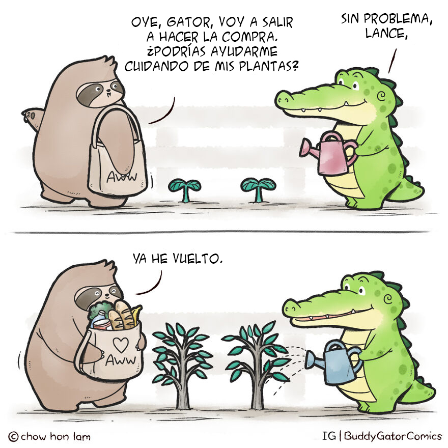 Hacer La Compra