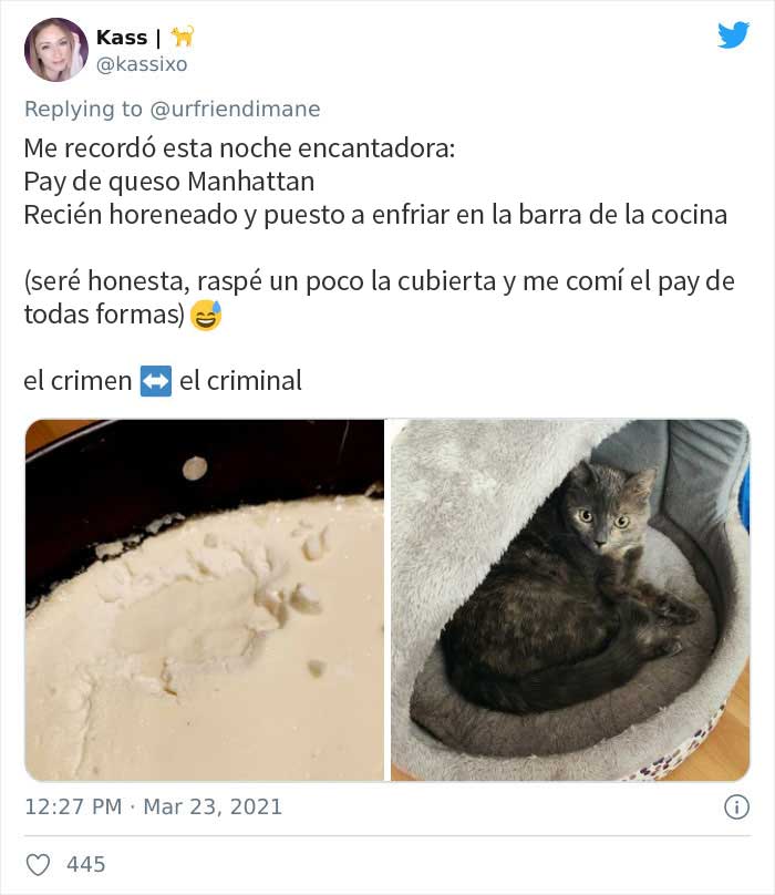 19 Crimes And Criminals Caught By Their Owners, As Shared In This Twitter Thread