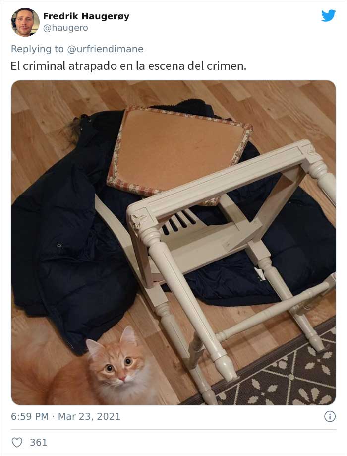 19 Crimes And Criminals Caught By Their Owners, As Shared In This Twitter Thread