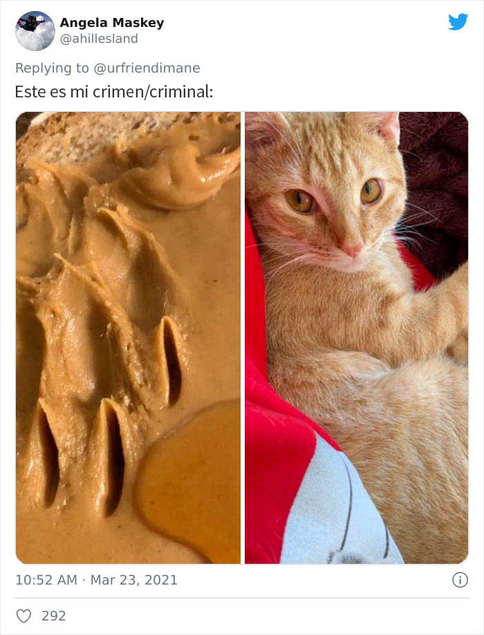 19 Crimes And Criminals Caught By Their Owners, As Shared In This Twitter Thread