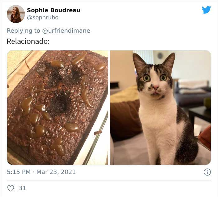19 Crimes And Criminals Caught By Their Owners, As Shared In This Twitter Thread