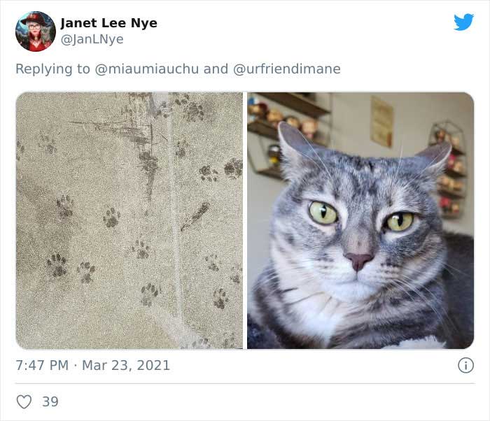 19 Crimes And Criminals Caught By Their Owners, As Shared In This Twitter Thread