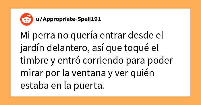 «¿Cuál es la cosa más estúpida que has visto hacer a tu mascota?» (30 respuestas)