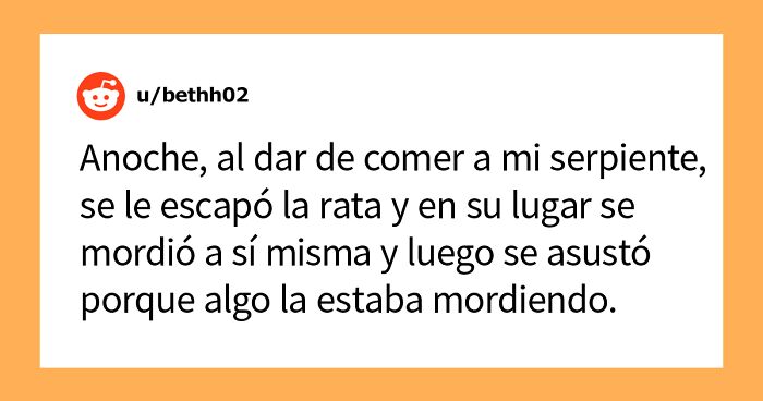 «¿Cuál es la cosa más estúpida que has visto hacer a tu mascota?» (30 respuestas)