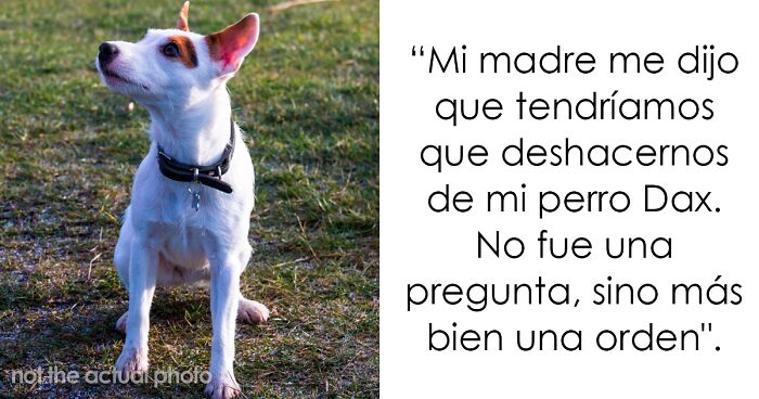Este adolescente fue obligado a elegir entre su querido perro Dax y su familia, y eligió al perro