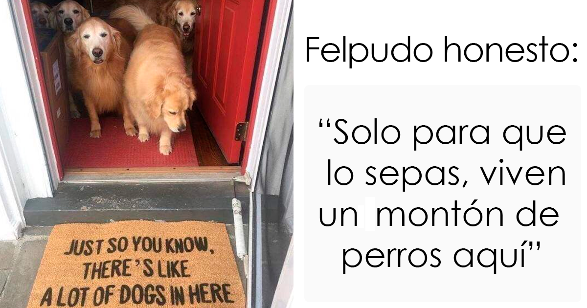 40 Felpudos muy entretenidos vistos por los invitados y compartidos en este grupo online